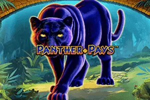 Playtech : Panther Pays - AUTOCUAN777
