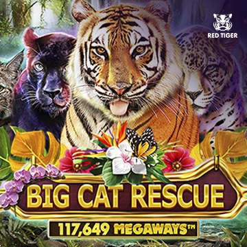 Redtiger : Big Cat Rescue Megaways - AUTOCUAN777