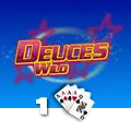 Deuces Wild 1 Hand - AUTOCUAN777