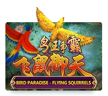 Bird Paradise - AUTOCUAN777