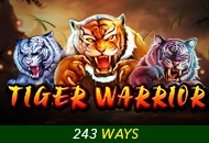 Spadegaming : Tiger Warrior - AUTOCUAN777