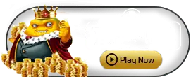Taparoo - AUTOCUAN777