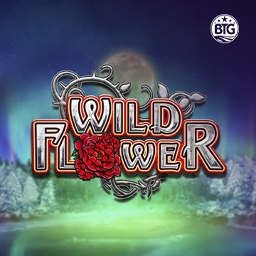 Bigtime : Wild Flower - AUTOCUAN777