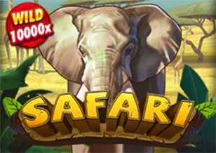 AFB : Safari - AUTOCUAN777