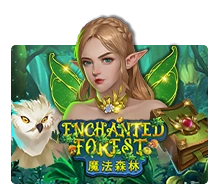 Enchanted Forest - AUTOCUAN777