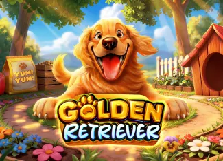 Golden Retriever - AUTOCUAN777
